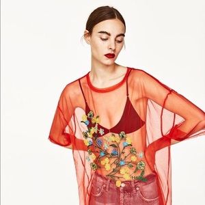 Zara Mesh top with Flower Embroidery